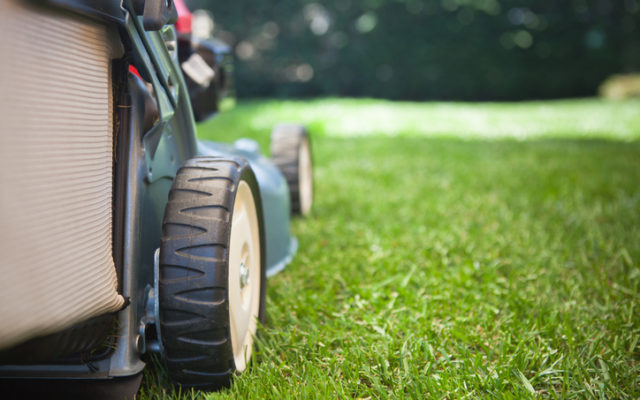 City approves higher cost for mowing overgrown lawns