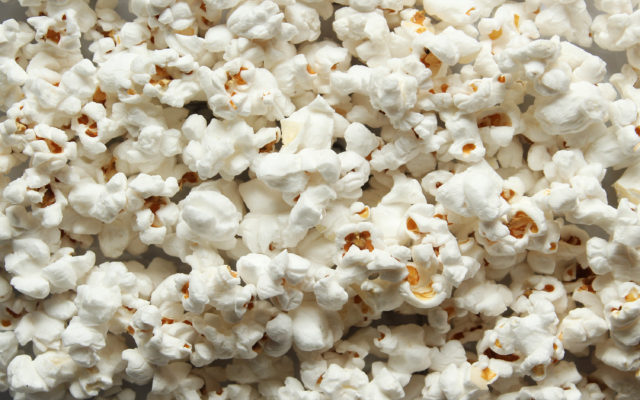 Lake County Commission approves permit for Gaylen’s Homegrown Popcorn
