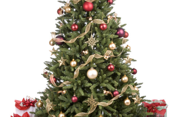 Angels still available on Lake County Food Pantry’s Angel Trees