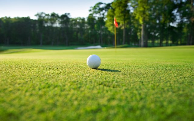 Madison girls golf falls to Vermillion in season opener