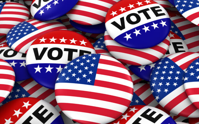 A few local races included in June Primary Election