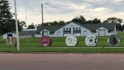 Lake County 4-H Achievement Days going on this week in Madison